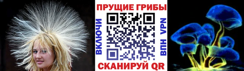 блэк спрут рабочий сайт  Бахчисарай  Галлюциногенные грибы ЛСД 
